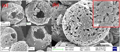 Performance of Na-ion Supercapacitors Under Non-ambient Conditions—From Temperature to Magnetic Field Dependent Variation in Specific Capacitance